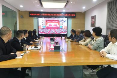 四川能投新力光源公司